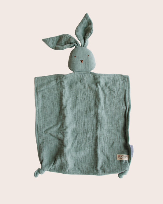 Muslin Comforter (Blue)